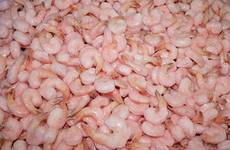 Frozen Prawn Supplier in India